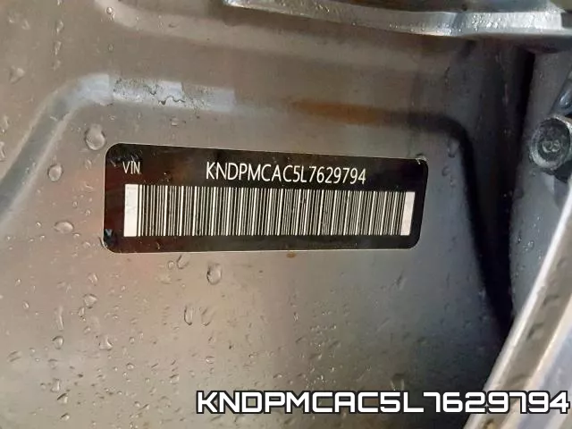 KNDPMCAC5L7629794_10.webp