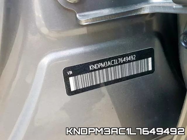 KNDPM3AC1L7649492_10.webp