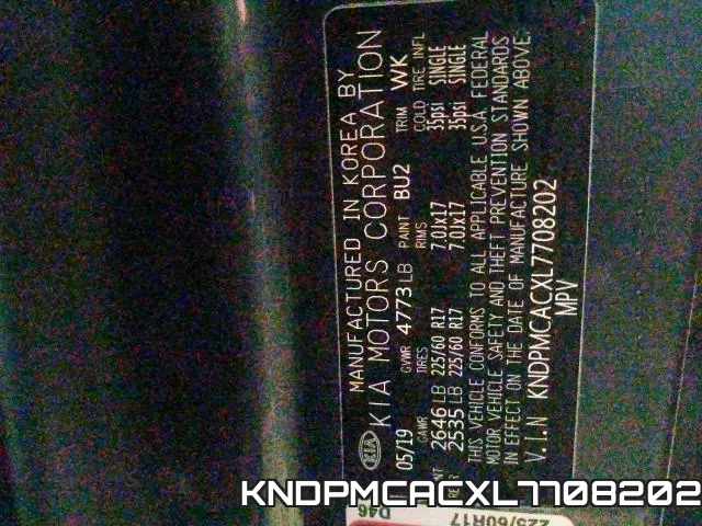 KNDPMCACXL7708202_10.webp