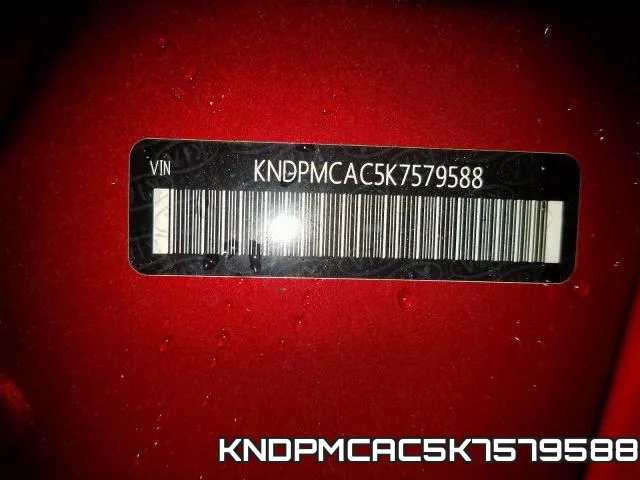 KNDPMCAC5K7579588_10.webp